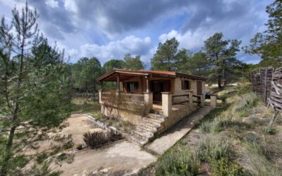 Casa independent amb terreny gran